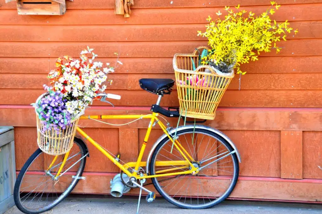 Panier vélo avant, panier vélo arrière, sac à dos vélo, sacoche vélo